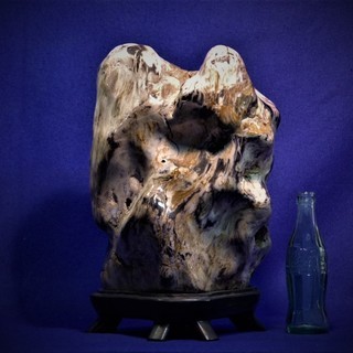 珪化木　木化石　石標本　飾り石　磨き　23㎏　高33㎝