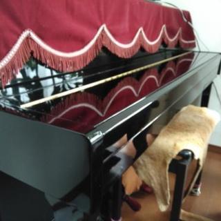 売ります。電子ピアノ institutoloscher.net