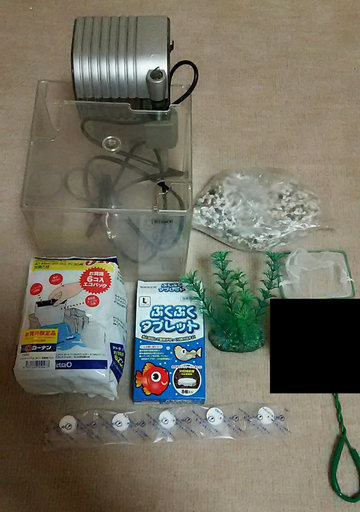 金魚飼育セット みかん 川西池田のその他の中古あげます 譲ります ジモティーで不用品の処分 金魚飼育セット みかん 川西池田のその他の中古あげます 譲ります ジモティーで不用品の処分