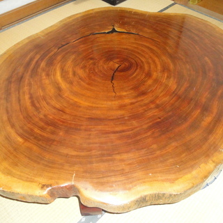 屋久杉　座卓　輪切り　送料込み