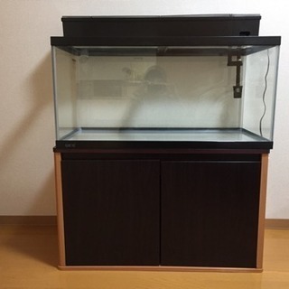 【美品】90センチ水槽 セット（ガラス）