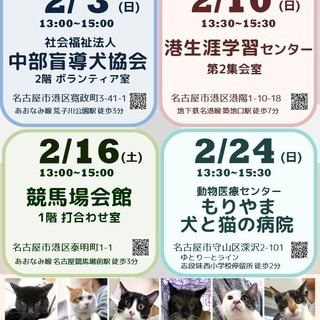 2月3日(日) 猫の譲渡会 名古屋市港区 社会福祉法人 中部盲導犬協会　みなと猫の会 主催 - イベント