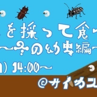 昆虫を採って食べる会 in 御宿 ~冬の幼虫編~