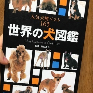 犬図鑑