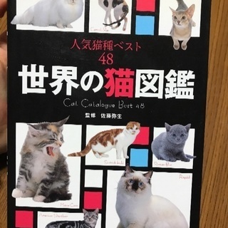 猫図鑑