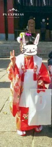 七五三　3歳着物セット