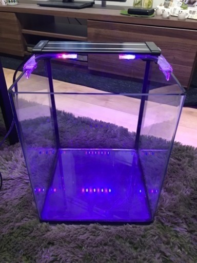 25cmキューブ水槽 Ledライト付き Yuki 妙典のその他の中古あげます 譲ります ジモティーで不用品の処分 25cmキューブ水槽 Ledライト付き Yuki 妙典のその他の中古あげます 譲ります ジモティーで不用品の処分