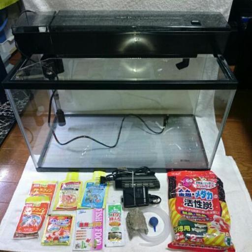 状態良好 Gexマリーナ上部フィルター式60cm水槽 セット 郵送可能 るーる 仙台の家具の中古あげます 譲ります ジモティーで不用品の処分 状態良好 Gexマリーナ上部フィルター式60cm水槽 セット 郵送可能 るーる 仙台の家具の中古あげます 譲ります ジモティーで不用品の処分