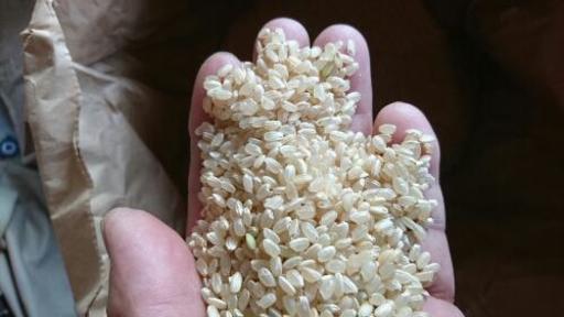 30年度の新米コシヒカリ玄米(30㎏)¥8,000円でお譲り致します。 | ega ...