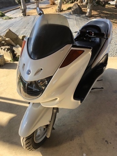 マジェスティー250cこの機会にいかがですか？