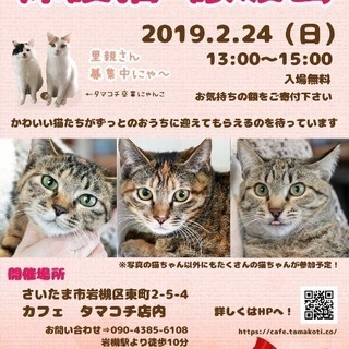 保護猫譲渡会