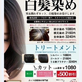 トリートメント 白髪染 鎌ケ谷市サウザンド 株式会社サンフェロー 鎌ヶ谷大仏の美容の無料広告 無料掲載の掲示板 ジモティー