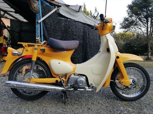 ホンダリトルカブ実働　今月末まで(交渉中)