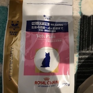 ROYAL CANNIN の子猫用キャットフード