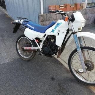 現状売りMTX50 エンジン絶好調！！