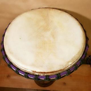 決定済 ジャンベ  紫 打楽器