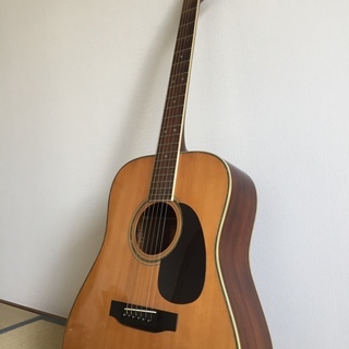 Morris Guitar W-30