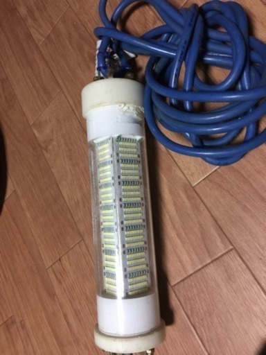 シラスウナギ 集魚灯 LED