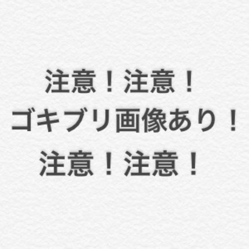 デュビア 幼虫~成虫MIX 推定2000匹以上