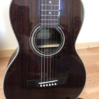 アコギ Headway HG-45R NA