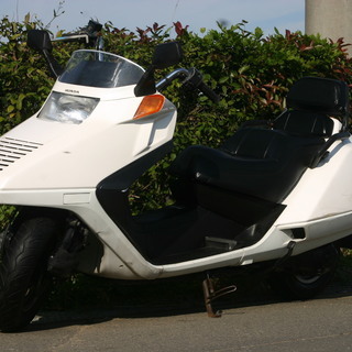 埼玉発682】HONDA フュージョンⅢ型 ノーマル車両（ホワイト ...