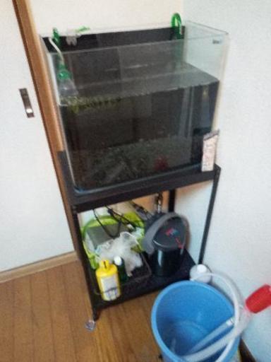 45cm水槽セット！