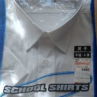 中学生　カッターシャツ　新品　１６５　１７０　各１枚の価格