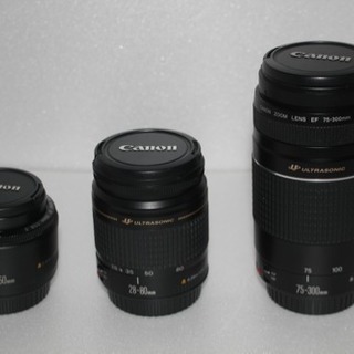 Canon EOS 9000D 標準＆望遠レ&単焦点レンズ トリプルレンズセット