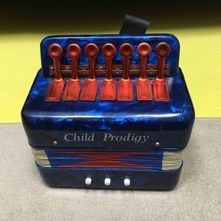 Child Prodigy ミニアコーディオン 楽器 演奏 音楽 鍵盤