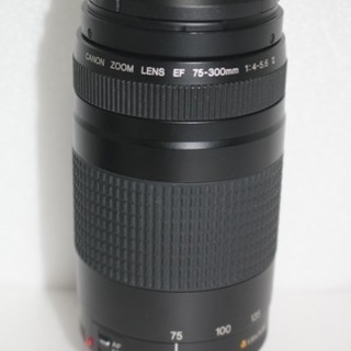 フード付き⭐︎運動会、スポーツ⭐︎望遠レンズ Canon EF 75-300