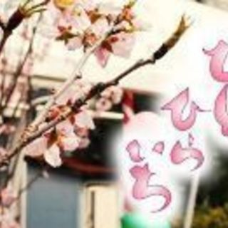 桜、手仕事、ひとひらいち出店者募集！