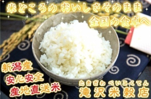 【新潟米】30年産 25kg  食べ盛りの子供家庭におすすめ（5kg×5袋）