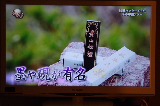 SHARP LC-24K9 テレビ