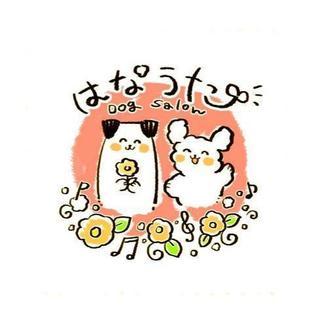 🍀ドッグサロン はなうた🍀  わんちゃんのトリミングお任せください♪