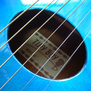 トラベルギター　TINYBOY TT40