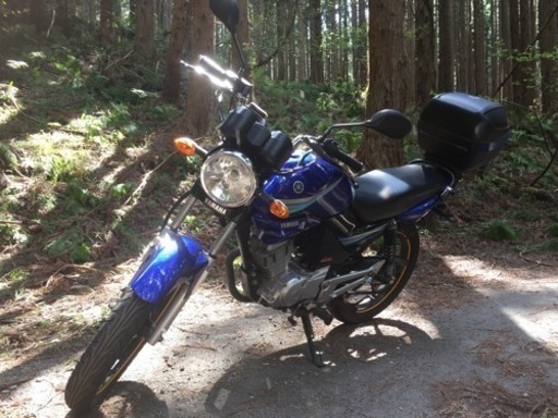 YBR125 ヤマハの原付二種！