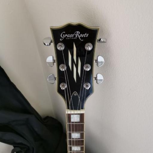値下げ！】エレキギターGrassRoots | diyfishblogs.com