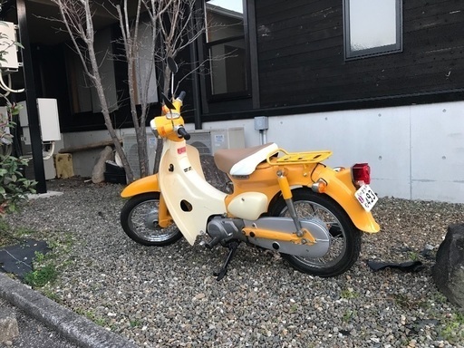 リトルカブ イエロー 保険付き