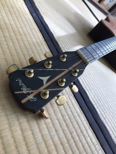 K.yairi weir-1e 希少なベリーブリッジ カッタウェイ エレアコ