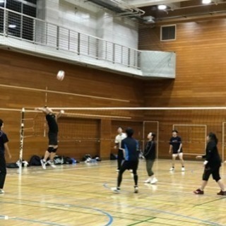 {毎週水曜日or木曜日18:30〜}男女混合バレーボール🏐