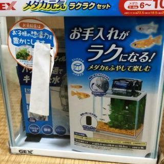 【未使用品】水槽・メダカ飼育セット