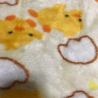 子供用毛布 るーる お休み中 別府のキッズ用品 その他 の中古あげます 譲ります ジモティーで不用品の処分 子供用毛布 るーる お休み中 別府のキッズ用品 その他 の中古あげます 譲ります ジモティーで不用品の処分