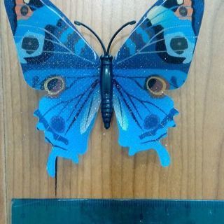 蝶の模型が付いたマグネット【無料0円】で差し上げます
