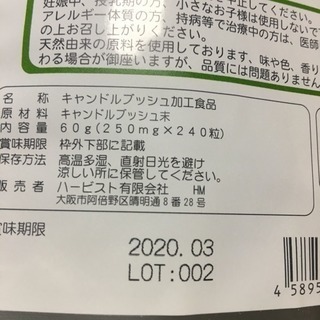 飾り扇全十二本と特製扇箱 中路道人/宮脇賣扇庵