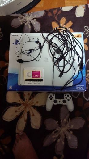 その他 PS4 CUH-2200AB02 500GB
