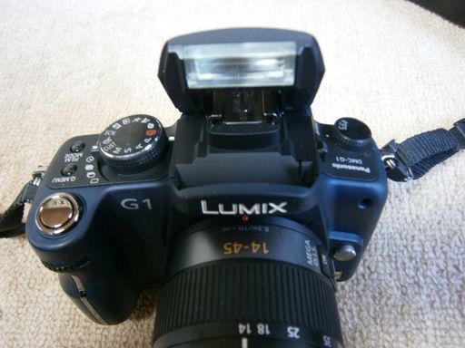 パナソニック デジタル　LUMIXルミックス G1　プロも認めたミラーレス一眼カメラ マイクロフォーサーズ　安心の２個バッテリ付き