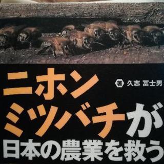 日本ミツバチ飼育用地・使っていない土地・里山・畑・山林をお持ちの...