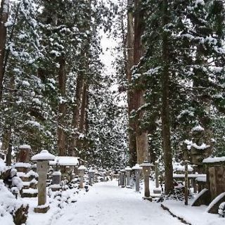 東京周辺の有名な観光地を巡るサークルです🚶(アムウエ●が嫌…