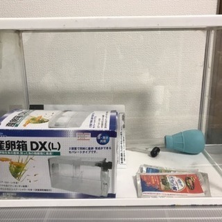 【お譲り】水槽  産卵箱 掃除用具 セット