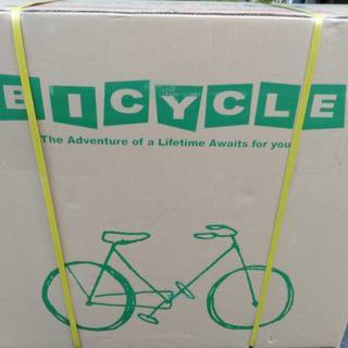 【新品未開封】折りたたみ自転車 20インチ 6段変速 アクティブプラス911 ノーパンクFDB206SF ホワイト 